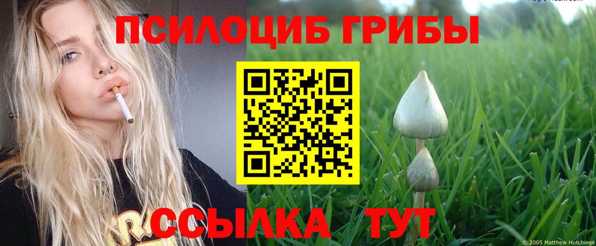 Галлюциногенные грибы Psilocybine cubensis  Галлюциногенные грибы Psilocybe  Чехов  Вход с VPN 